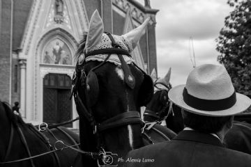 Associazione I CARTUNE' di Castagnito
